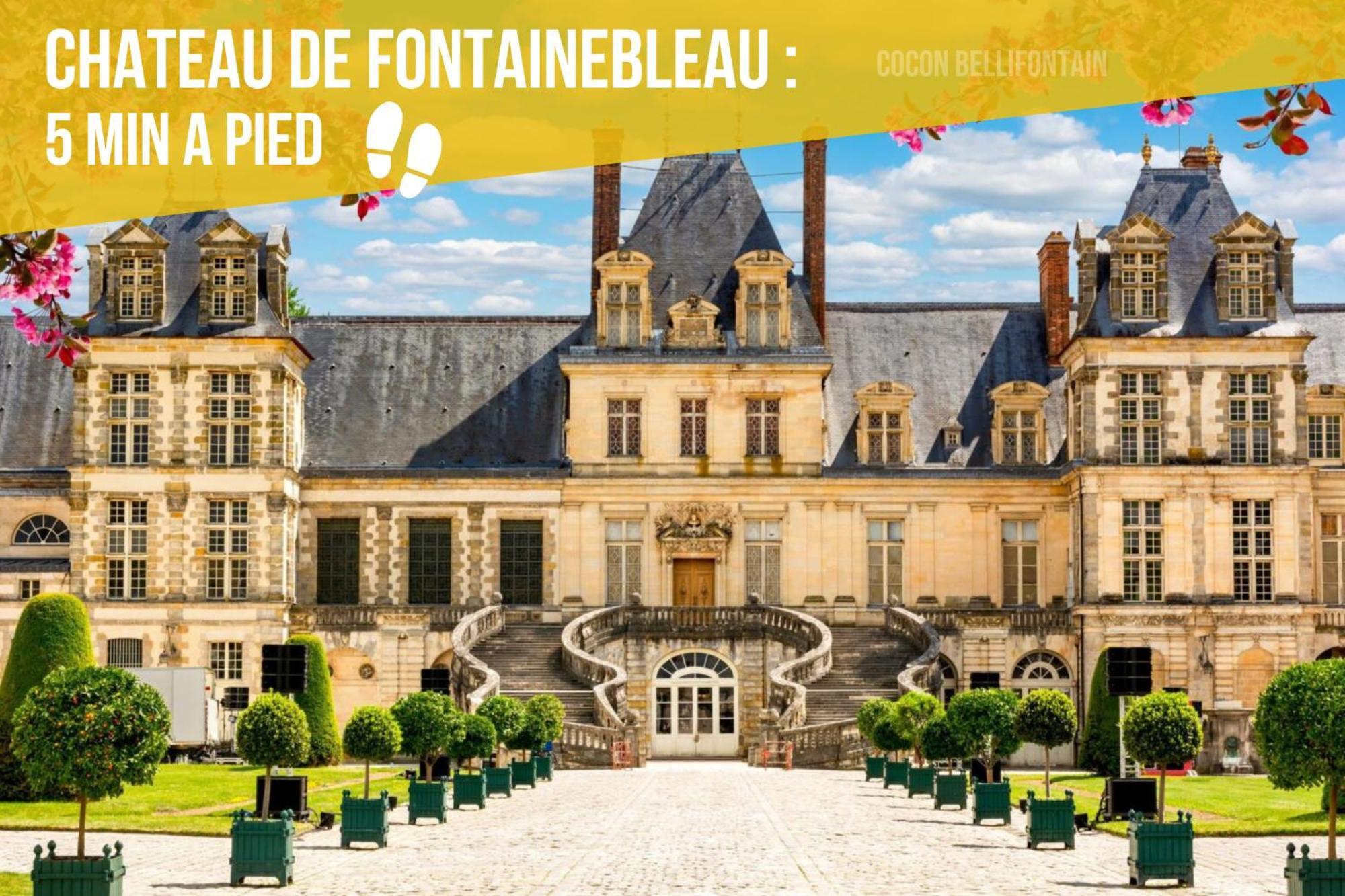 Le Cocon De Fontainebleau - Centre-Ville, Proche Insead & Chateau Eksteriør billede